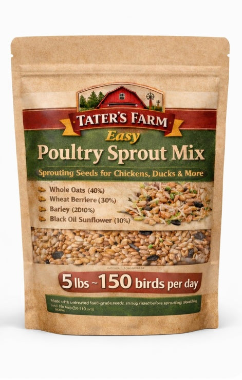 Poultry Sprouting Seeds Treat Mix, Natural Protein Boost, Fresh Greens Anytime, Better Egg Quality, Improve Feathers, Great Winter Treat and Entertainment