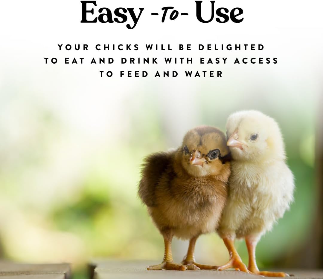 Chick Feeder & Water Set, Holds 1 quart, Screw on Bases for Easy Cleaning