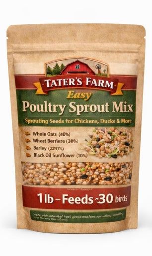 Poultry Sprouting Seeds Treat Mix, Natural Protein Boost, Fresh Greens Anytime, Better Egg Quality, Improve Feathers, Great Winter Treat and Entertainment