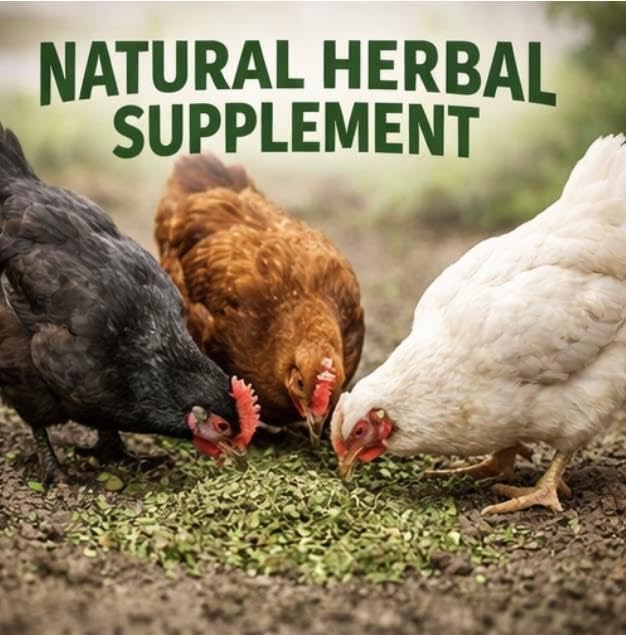 Poultry Nesting Herbs, Includes Oregano, Basil, Red Pepper Flakes, Garlic, Rosemary, Lavender, and More! 8oz, 16oz, 32oz